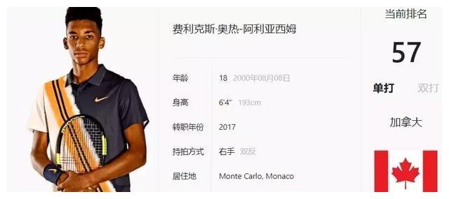 年轻且已具 年轻且已具